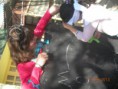 /album/fotogaleria/jornadas-de-la-familia-19-09-31-jpg/